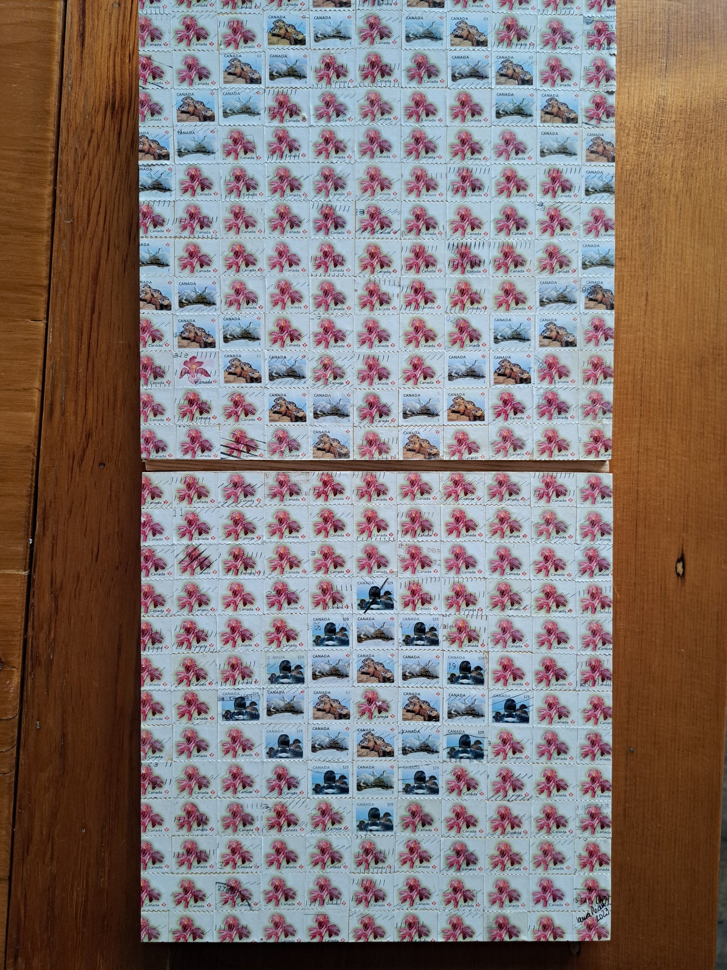 La vie en rose 10x20.5