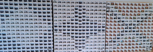 Raccoons, rabbits, etc triptyque 12x12’’